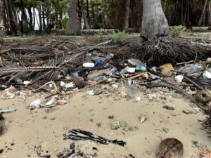 Plastikmüll reduzieren an wunderschönen Stränden zero waste Umweltschutz 