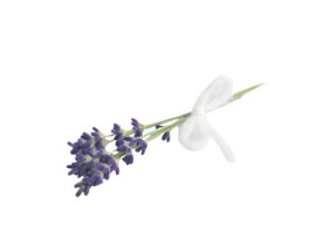 naturseife umwelt schuetzen naturseife ohne zusaetze zerowaste haarseife fuer haarwachstum anti schuppen