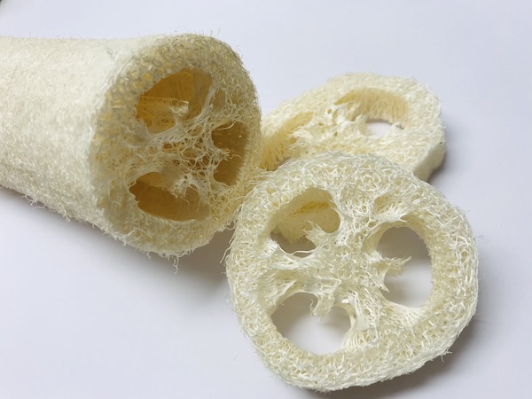 luffa biologisch natürlich kompostierbar naturseif kaufen haarseife ausprobieren oekologisch nachhaltig