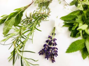 naturseife kaufen mit echten kräutern und natuerlichen bio oelen