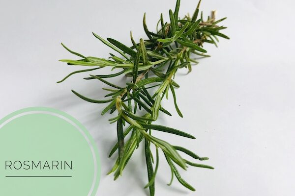 naturseife guenstig kaufen haarseife ausprobieren haarseife shop haarseife tesen biologisch palmoelfrei vegan zerowaste.JPG
