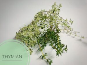 naturseife guenstig kaufen haarseife ausprobieren haarseife shop haarseife tesen biologisch palmoelfrei vegan zerowaste