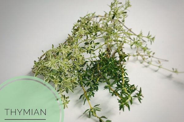 naturseife guenstig kaufen haarseife ausprobieren haarseife shop haarseife tesen biologisch palmoelfrei vegan zerowaste
