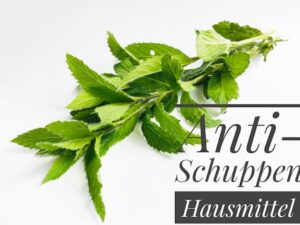 naturseife guenstig kaufen im naturseife shop Haarseife und haarpflege natuerlich biologisch nachhaltig.jpg