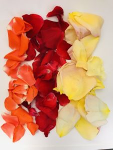 naturseife kaufen naturseife shop tolle haarseife palmoelfrei zerowaste outdoorseife naturseife umweltschutz seife selber machen gute naturseife bio