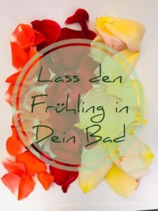 naturseife selber machen naturseife kaufen naturseife shop die beste naturseife ist naturseife gut fuer die Haut vegane naurseife haarseife
