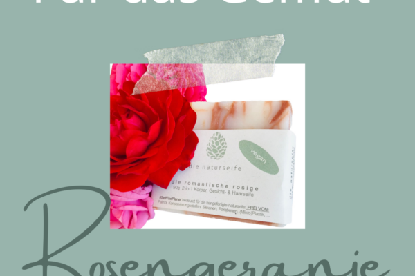3 naturseife shop seife selber machen haarseife maennerseife vegan seife seife gegen schuppen