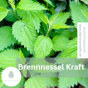 naturseife-shop-haarseife-kaufen-seife-selber-machen-seifenrezept-OH-Wert-von-Seife-vegan